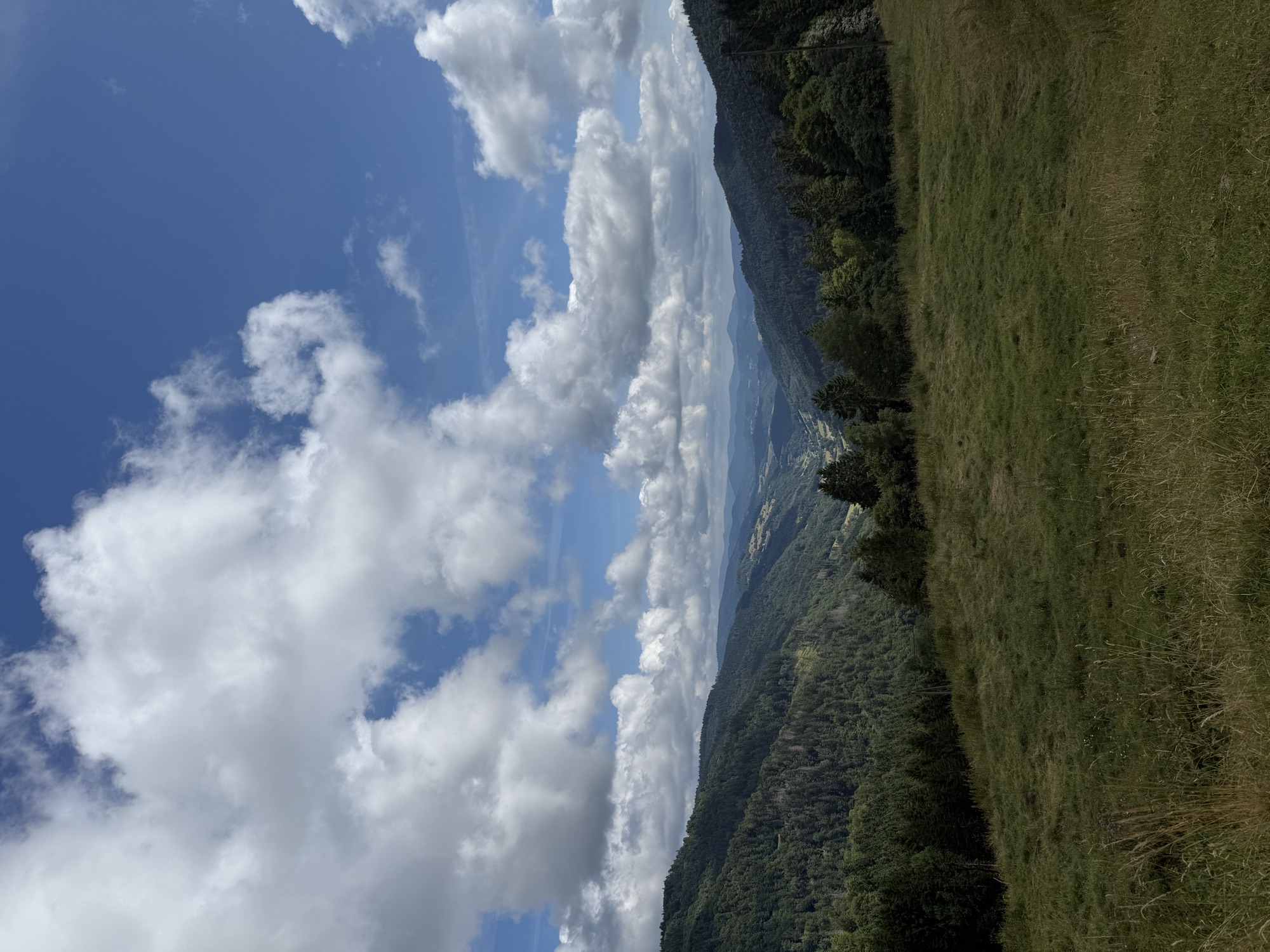 Open graslandjes bij de Col des Bagenelles, met zicht op de bebost glooiende vallei.